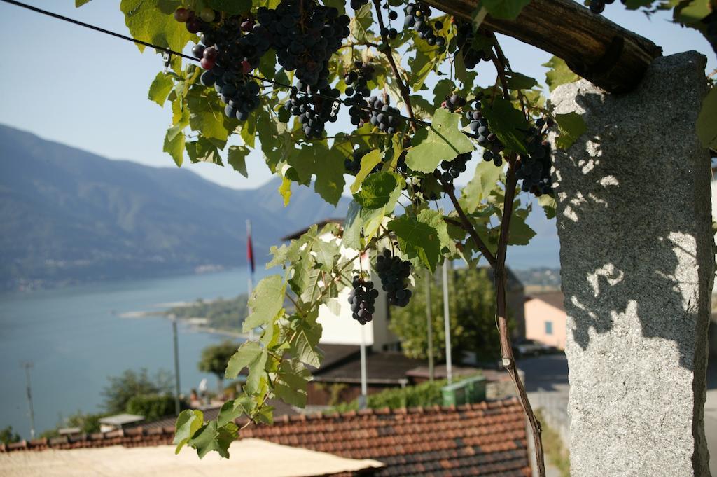 Garten Hotel Dellavalle Brione sopra Minusio Dış mekan fotoğraf